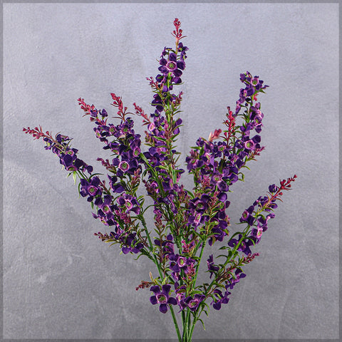 Lavender Flowers