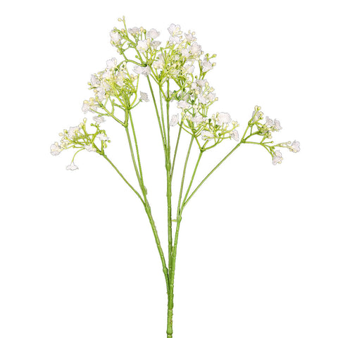 Baby's Breath Flowers