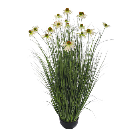 Grass In Pot