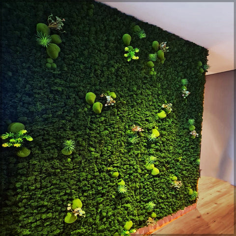 Real Fresh Moss Wall