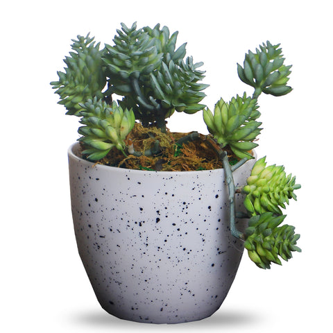 Artificial Potted Sedum Faux Succulent