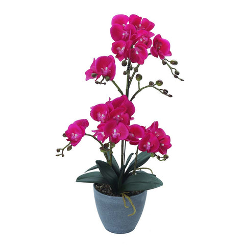 Artificial Faux Orchid Plant Arrangements