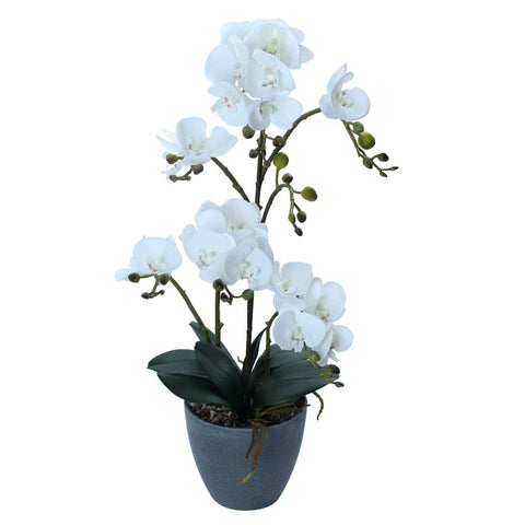 Artificial Faux Orchid Plant Arrangements