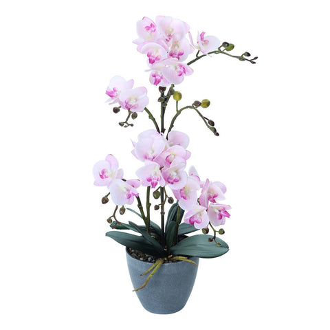 Artificial Faux Orchid Plant Arrangements