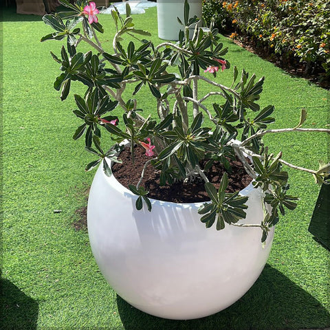 Elegant white round planter for garden