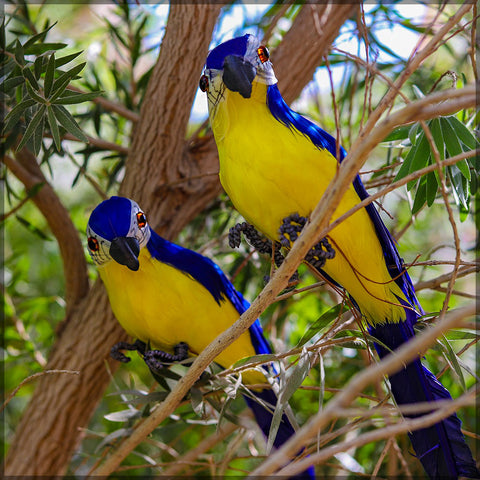 35CM Artificial Parrots