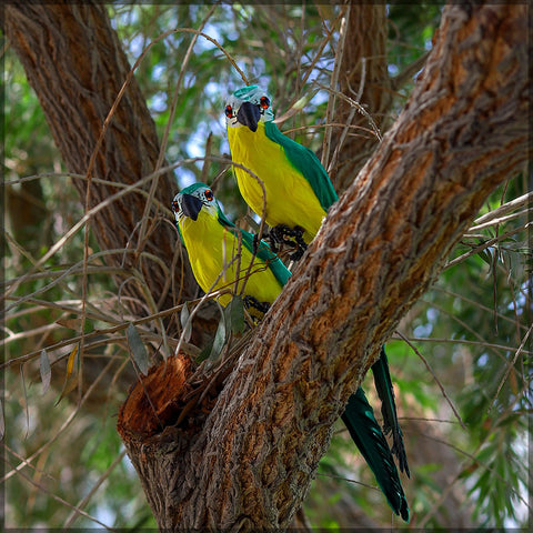 35CM Artificial Parrots