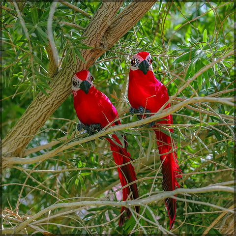 35CM Artificial Parrots