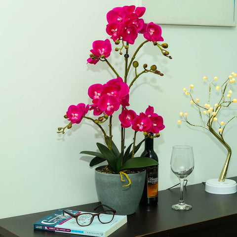 Artificial Faux Orchid Plant Arrangements