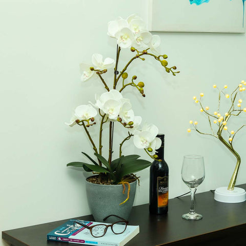 Artificial Faux Orchid Plant Arrangements