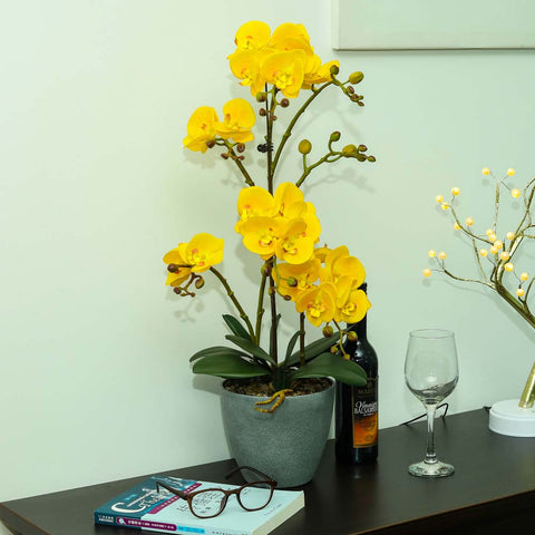 Artificial Faux Orchid Plant Arrangements