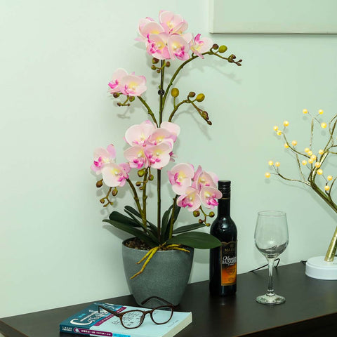 Artificial Faux Orchid Plant Arrangements