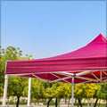 Outdoor pop up canopy providing shelter for beach, garden, and picnics