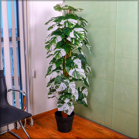 Realistic artificial monstera plant with glossy leaves