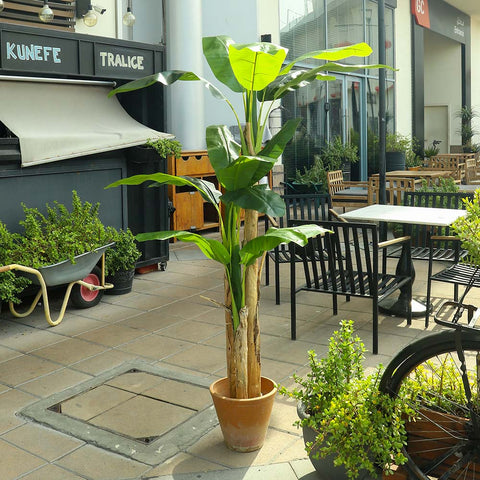 Fake banana leaf plant placed in a modern interior