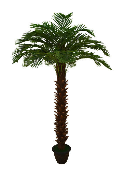 3m tall artificial palm tree in a stylish living room