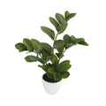 Faux zamioculcas plant for home decor