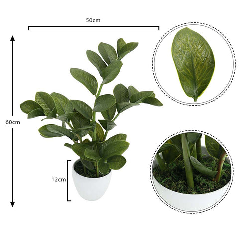 Decorative artificial zamioculcas for interiors