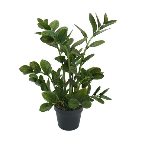 Lifelike faux Zamioculcas plant for indoor spaces