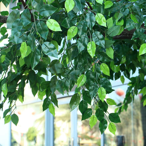 Potted artificial ficus tree for indoor spaces