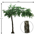 Indoor decorative ficus tree for home decor