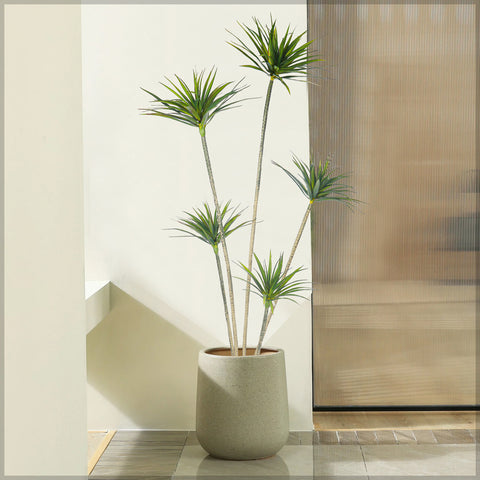 Artificial Dracaena Plant 210cm Tall