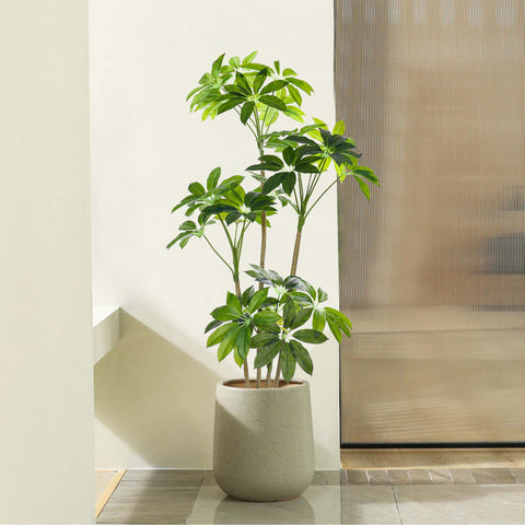 Nearly Natural Money Plant for Home Decoration