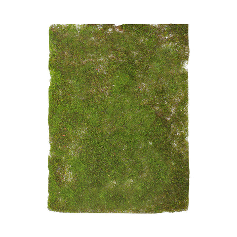 Decorative Moss Mat Green