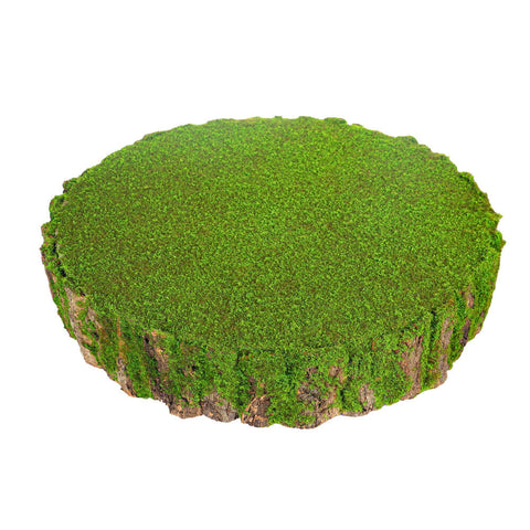 Moss wall, Green wall panel,