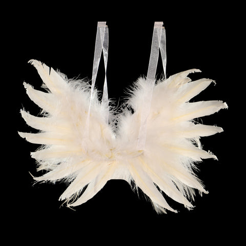 Decorative Fancy Real Feathers