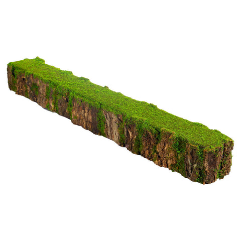 Moss wall, Green wall panel,