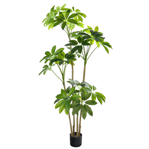 Nearly Natural Money Plant for Home Decoration