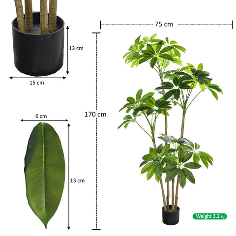 Nearly Natural Money Plant for Home Decoration