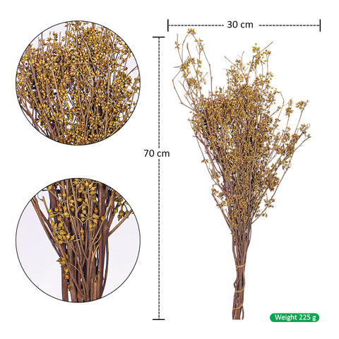 Natural Dried Preserved Millet Flower Bunch