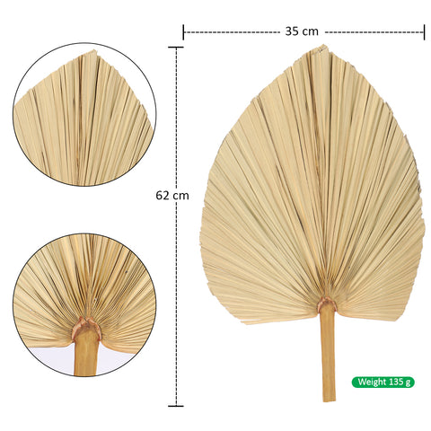 Natural Dried Palm Leaf