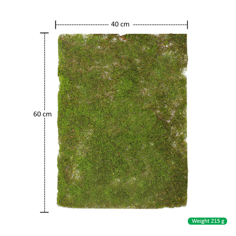 Decorative Moss Mat Green