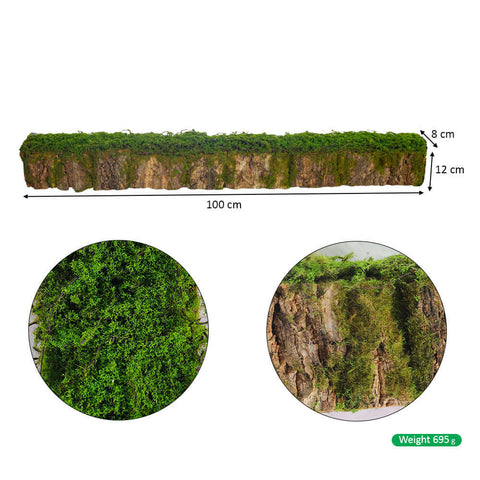 Moss wall, Green wall panel,