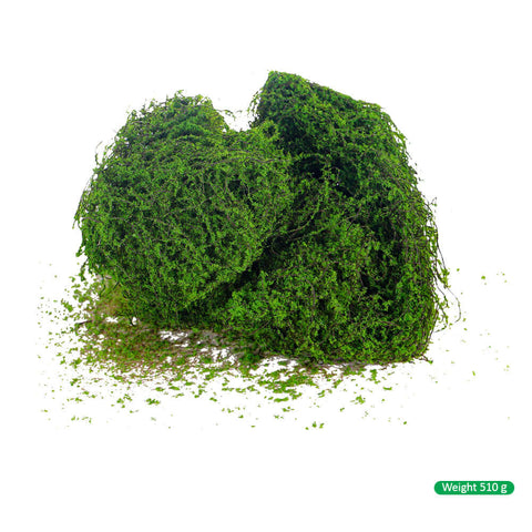 Moss wall, Green wall panel,