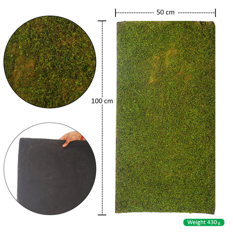 Decorative Moss Mat