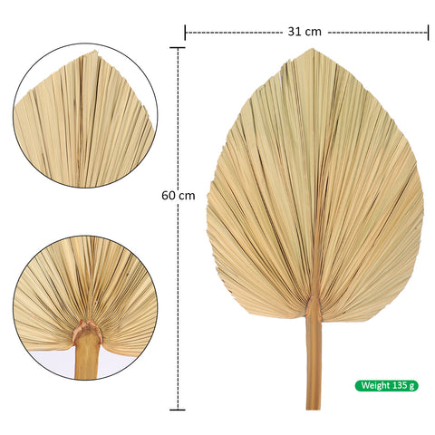 Natural Dried Palm Leaf