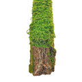 Moss wall, Green wall panel,