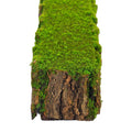 Moss wall, Green wall panel,