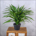 Artificial Potted Adams Needle Plant for Home Decor