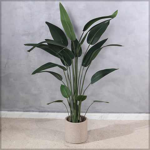 W-coffee Decorative Plastic Planter