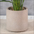 Decorative plastic planter for indoor spaces