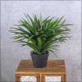 Artificial Needle Plant for Natural Home Ambience