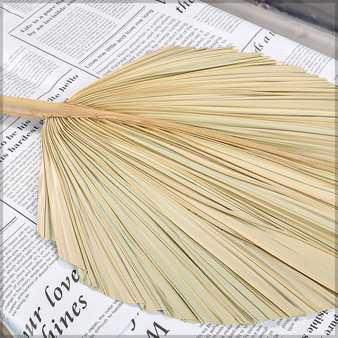 Natural Dried Palm Leaf