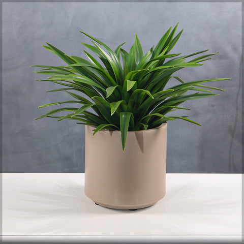 Artificial Potted Adams Needle Plant