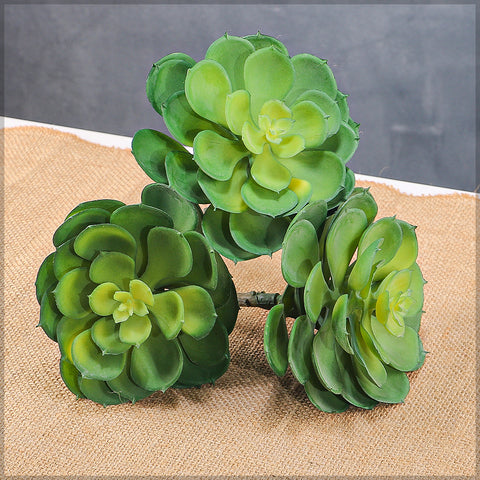 Artificial Echeveria Elegans Succulent