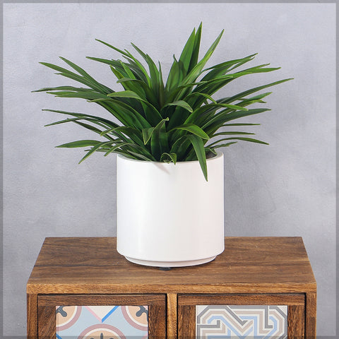 White Decorative Plastic Planter